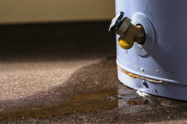 Best Basement water damage restoration  in Chillicothe, OH