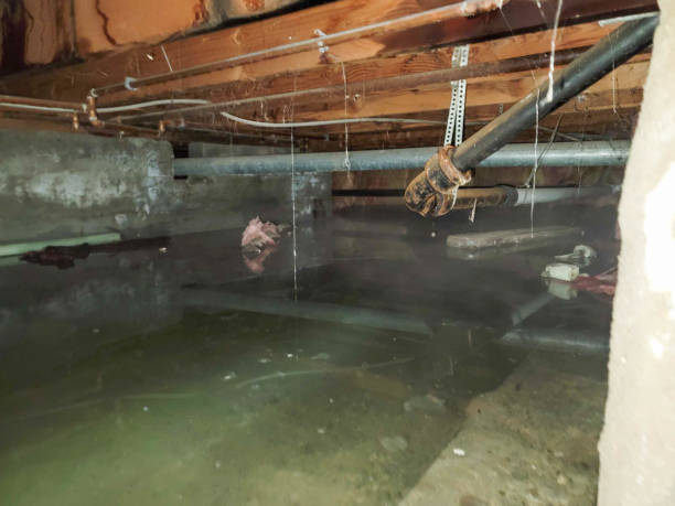 Best Commercial water damage restoration  in Chillicothe, OH