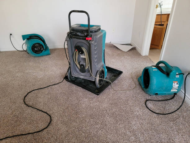 Best Emergency water extraction  in Chillicothe, OH