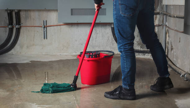 Best Water damage restoration near me  in Chillicothe, OH