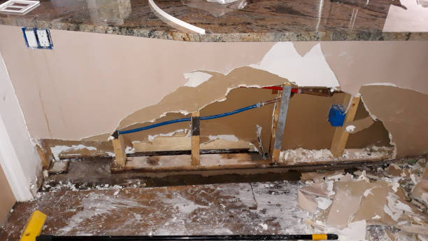 Best Flood damage cleanup  in Chillicothe, OH
